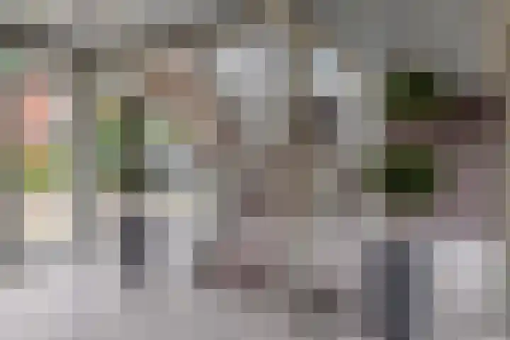Kreekwaard 67 Alkmaar thumbnail 35