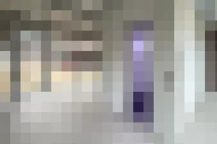 Kreekwaard 67 Alkmaar thumbnail 36