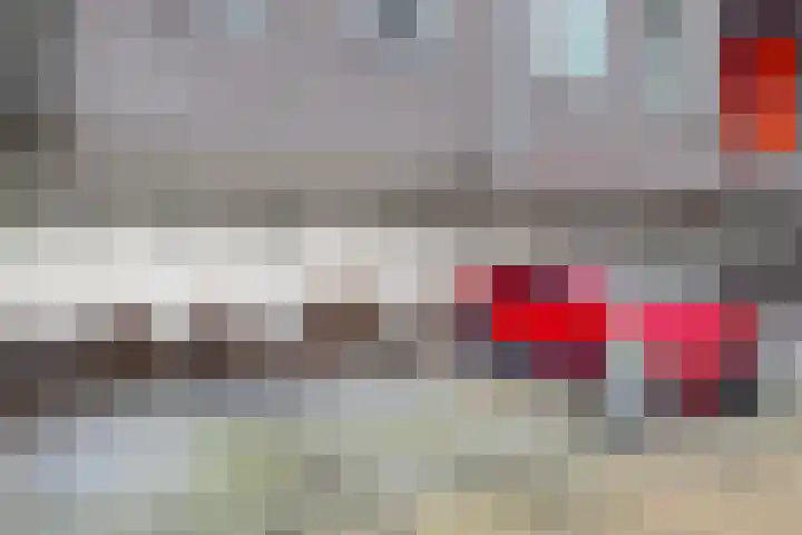 Kreekwaard 67 Alkmaar thumbnail 38