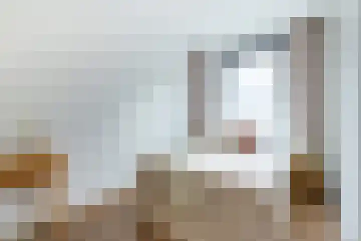 Kreekwaard 67 Alkmaar thumbnail 4