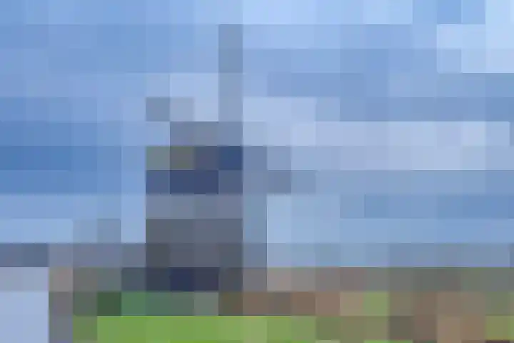 Kreekwaard 67 Alkmaar thumbnail 43