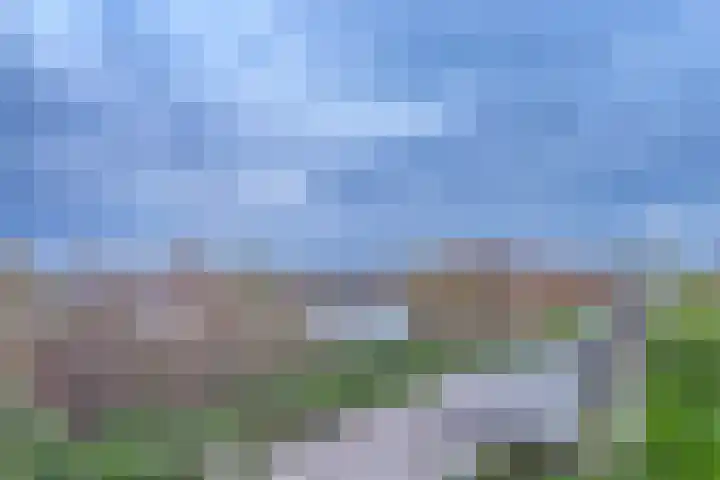 Kreekwaard 67 Alkmaar thumbnail 44