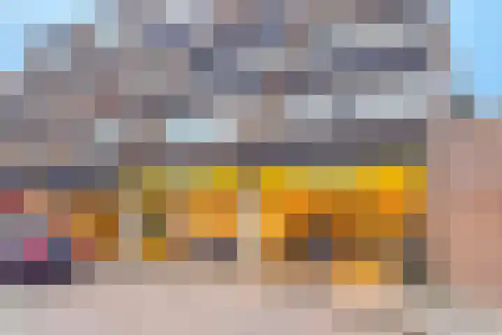 Kreekwaard 67 Alkmaar thumbnail 47