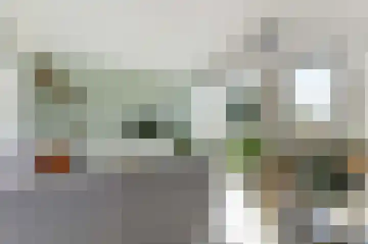 Kreekwaard 91 Alkmaar thumbnail 10