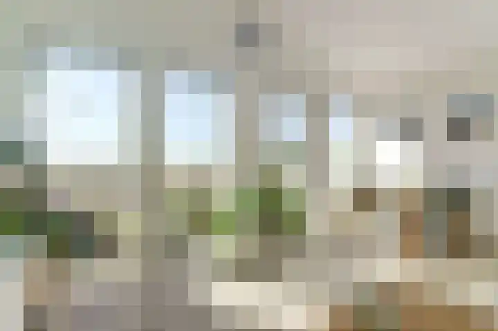 Kreekwaard 91 Alkmaar thumbnail 11