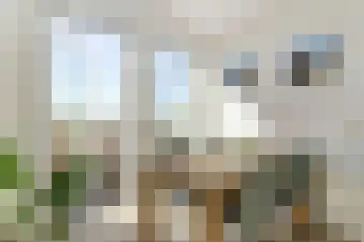 Kreekwaard 91 Alkmaar thumbnail 12