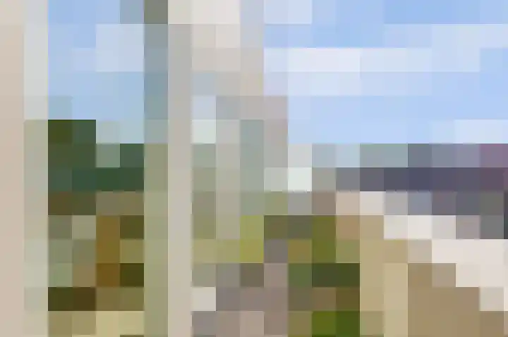 Kreekwaard 91 Alkmaar thumbnail 17