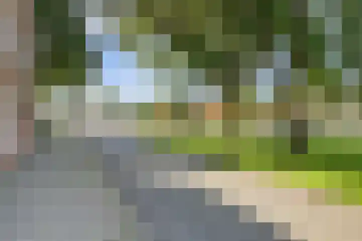Kreekwaard 91 Alkmaar thumbnail 30