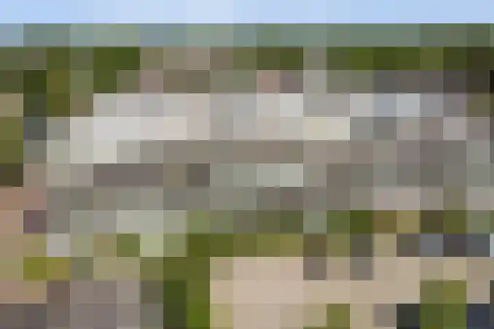 Kreekwaard 91 Alkmaar thumbnail 31