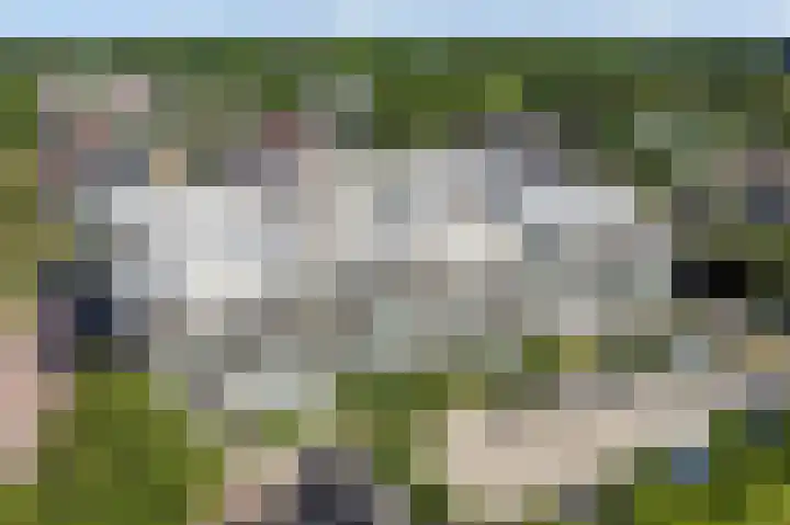 Kreekwaard 91 Alkmaar thumbnail 32