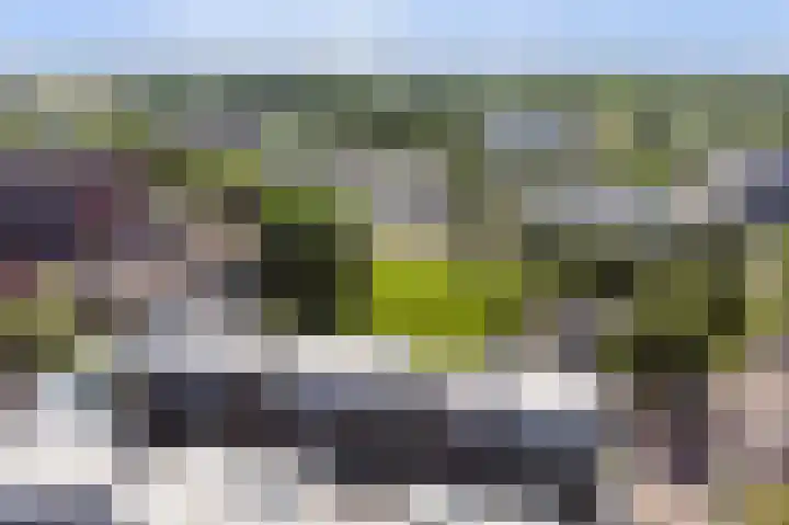 Kreekwaard 91 Alkmaar thumbnail 33