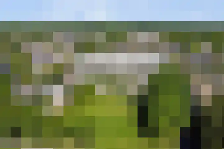 Kreekwaard 91 Alkmaar thumbnail 34