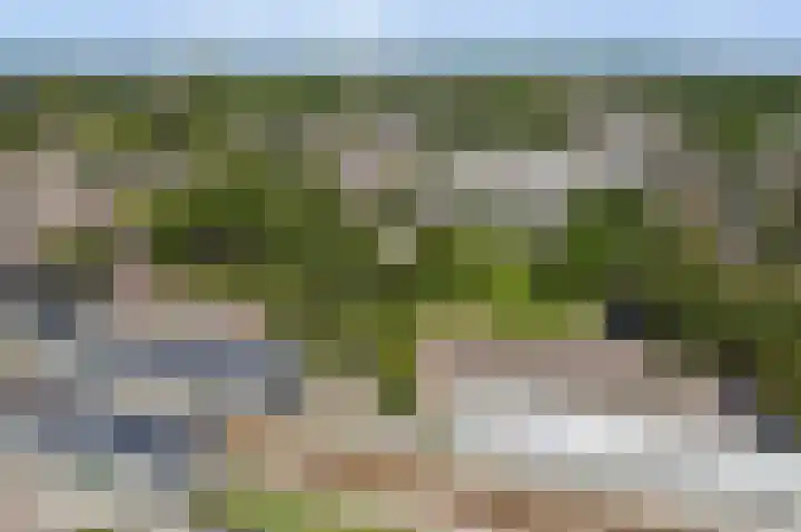 Kreekwaard 91 Alkmaar thumbnail 35