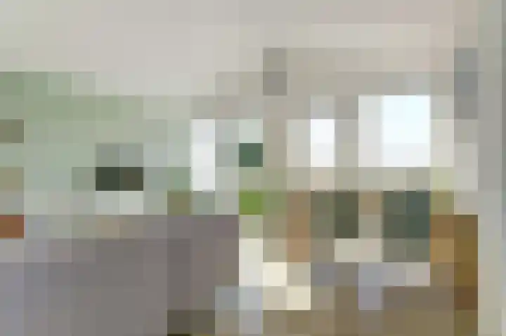 Kreekwaard 91 Alkmaar thumbnail 38