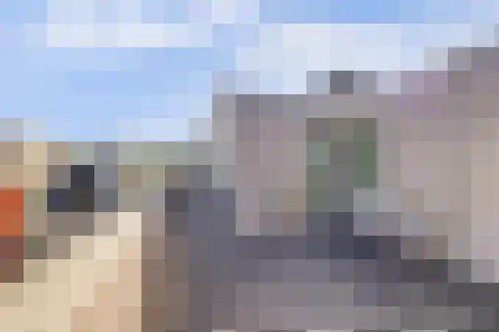 Kreekwaard 91 Alkmaar thumbnail 4