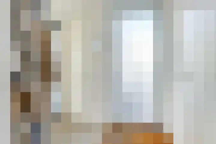 Kreekwaard 91 Alkmaar thumbnail 5