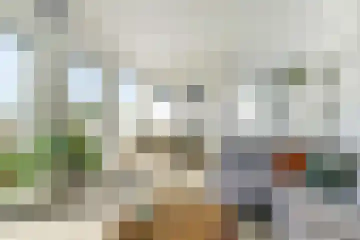 Kreekwaard 91 Alkmaar thumbnail 8