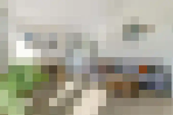Kreekwaard 91 Alkmaar thumbnail 9