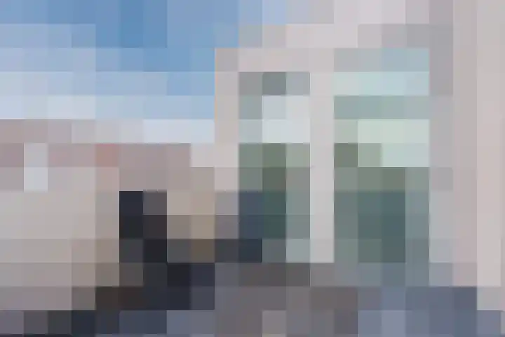 Kreekwaard 95 Alkmaar thumbnail 13