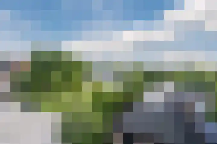 Kreekwaard 95 Alkmaar thumbnail 15