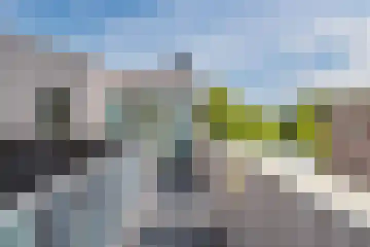 Kreekwaard 95 Alkmaar thumbnail 24
