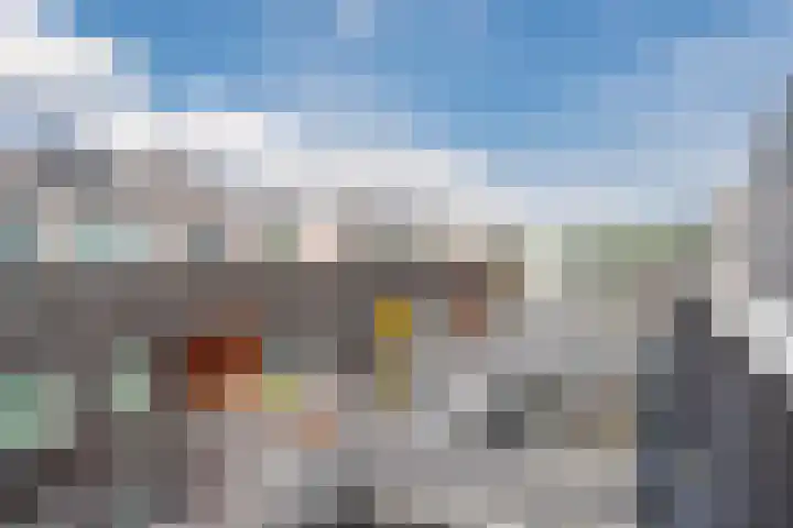 Kreekwaard 95 Alkmaar thumbnail 25