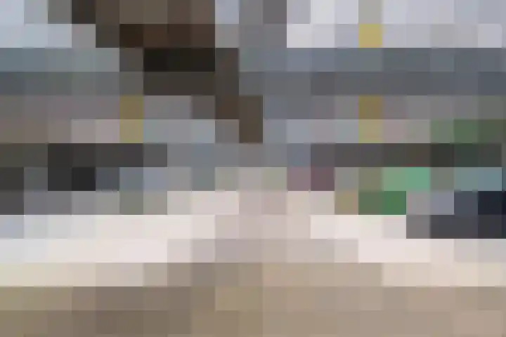 Kreekwaard 95 Alkmaar thumbnail 26