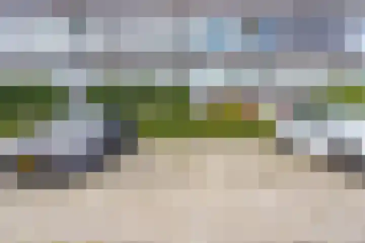 Kreekwaard 95 Alkmaar thumbnail 29