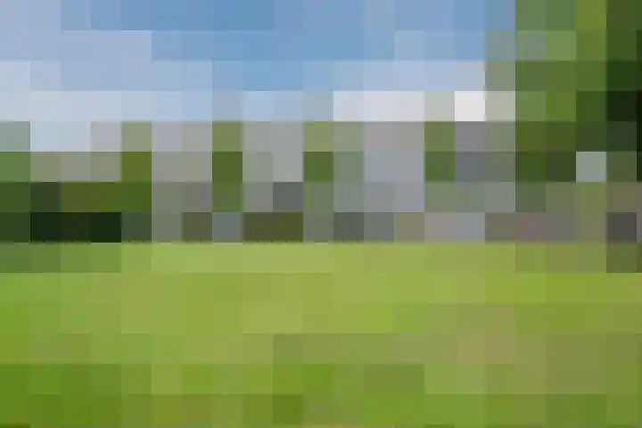 Kreekwaard 95 Alkmaar thumbnail 32