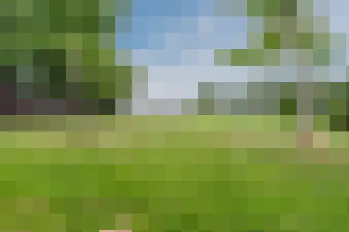Kreekwaard 95 Alkmaar thumbnail 33