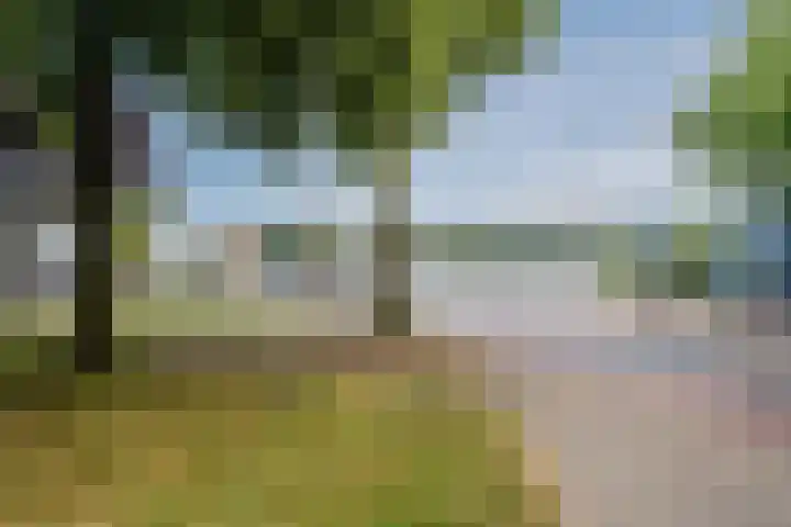 Kreekwaard 95 Alkmaar thumbnail 34