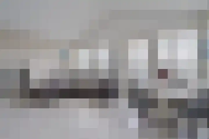 Kreekwaard 95 Alkmaar thumbnail 4