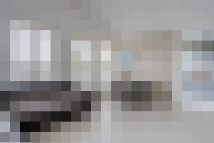 Kreekwaard 95 Alkmaar thumbnail 6