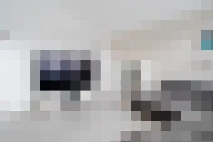 Kreekwaard 95 Alkmaar thumbnail 7