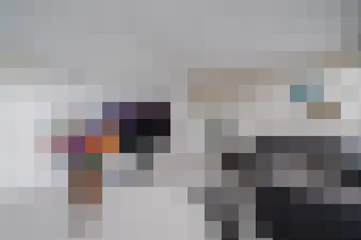 Kreekwaard 95 Alkmaar thumbnail 8
