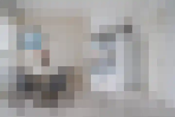Kreekwaard 95 Alkmaar thumbnail 9