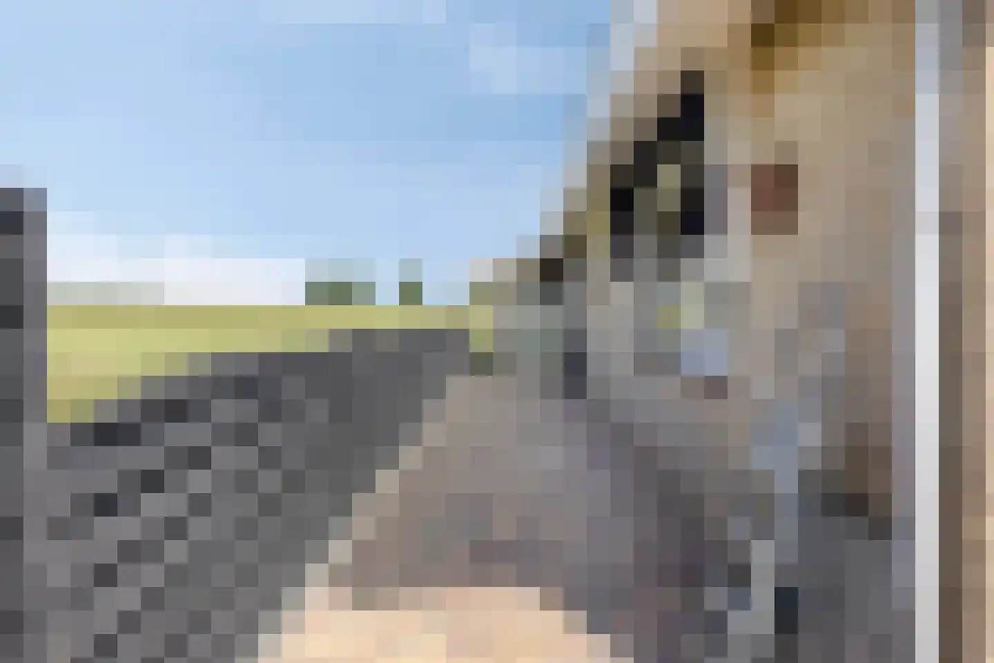 Kreekweg 3 Klaaswaal thumbnail 27