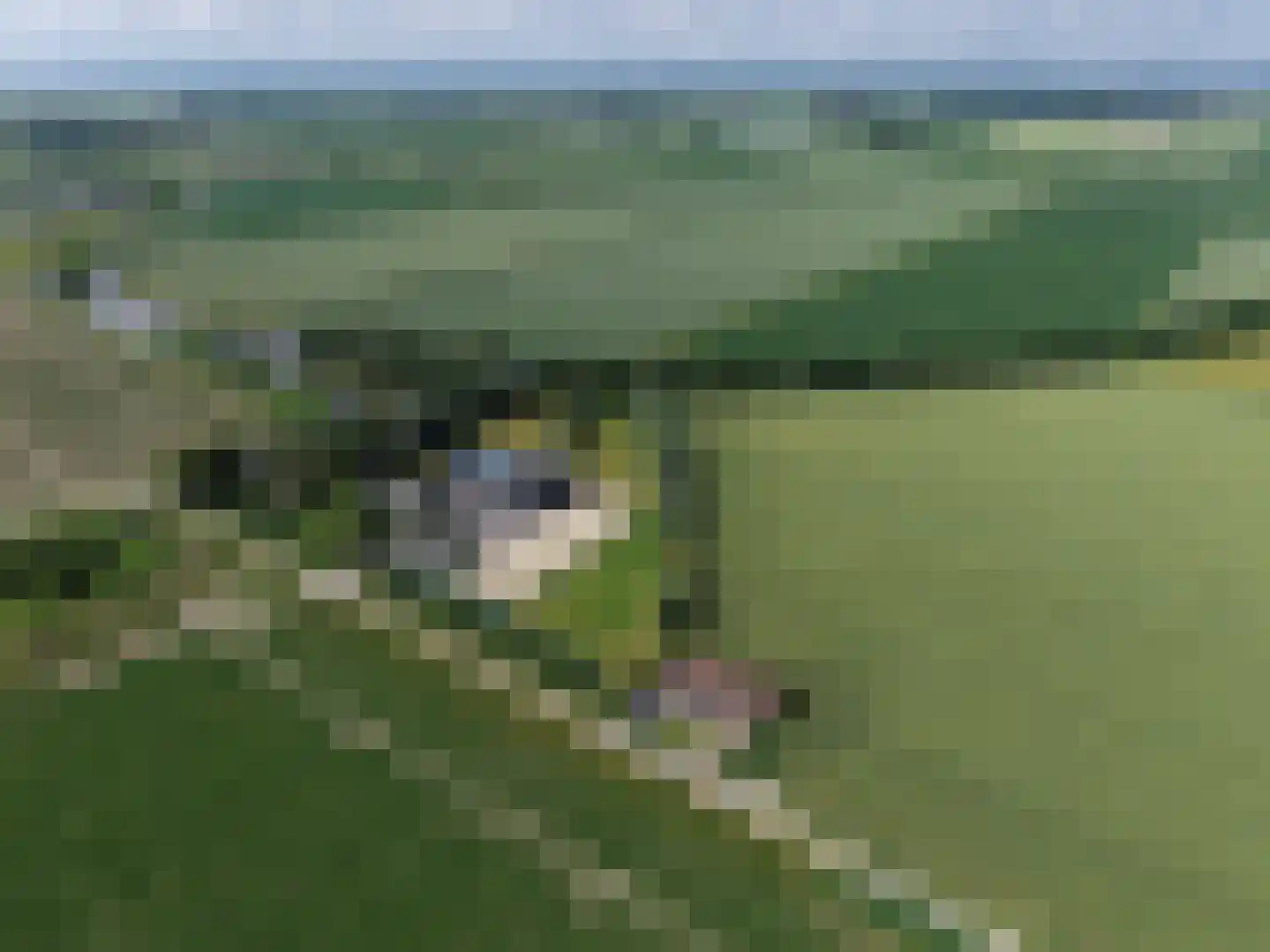 Kreekweg 3 Klaaswaal thumbnail 37
