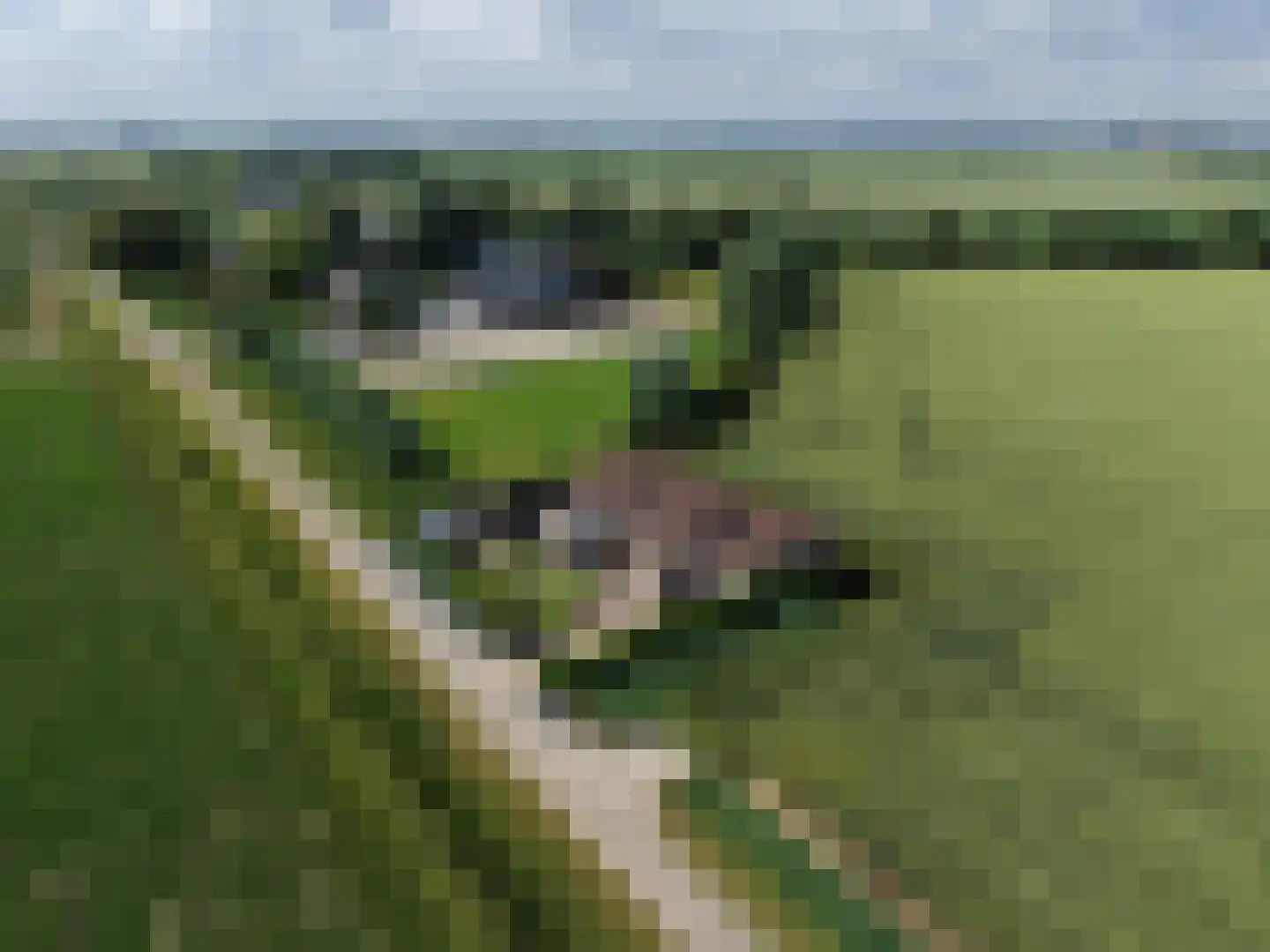 Kreekweg 3 Klaaswaal thumbnail 38