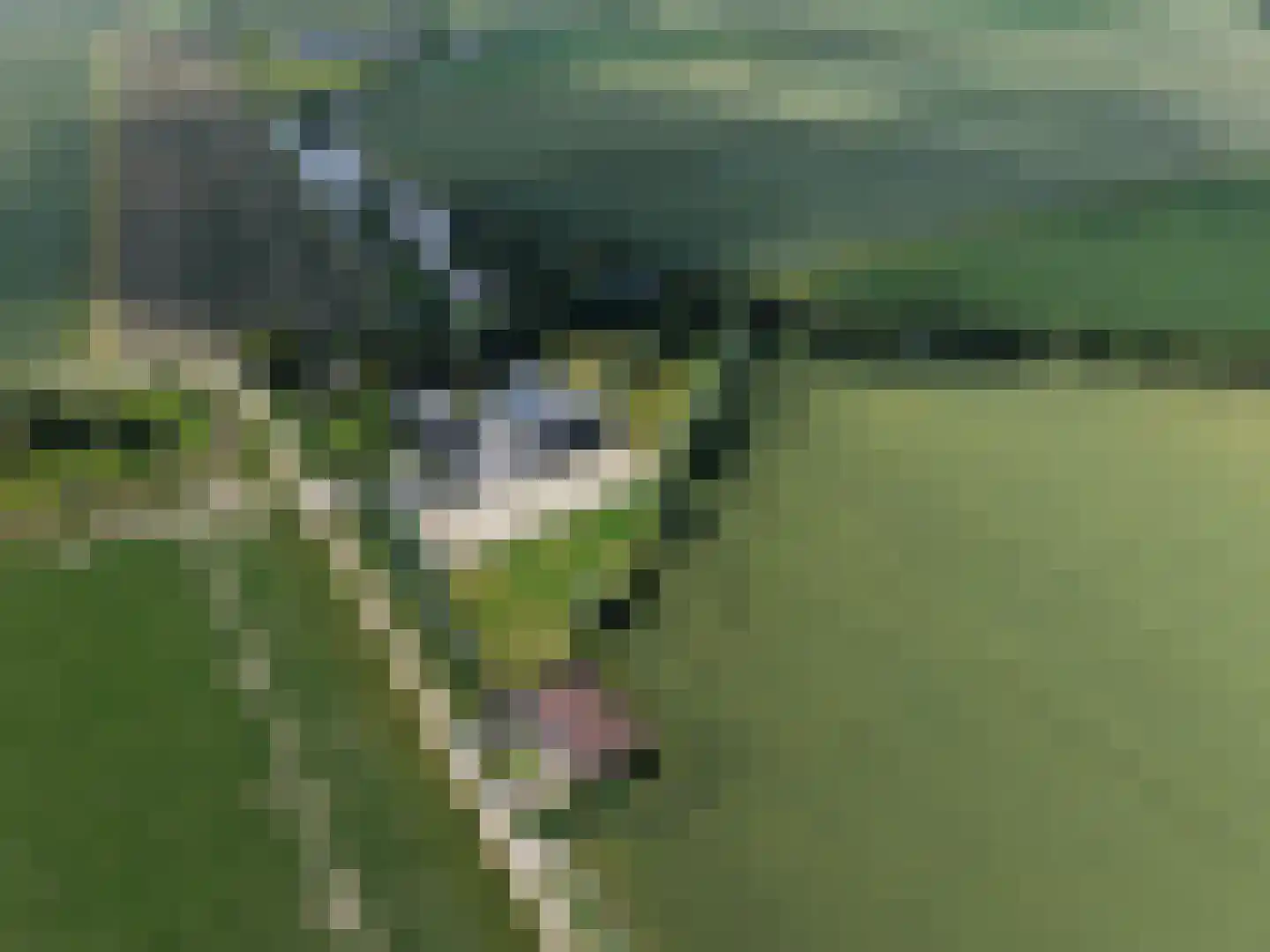Kreekweg 3 Klaaswaal thumbnail 39