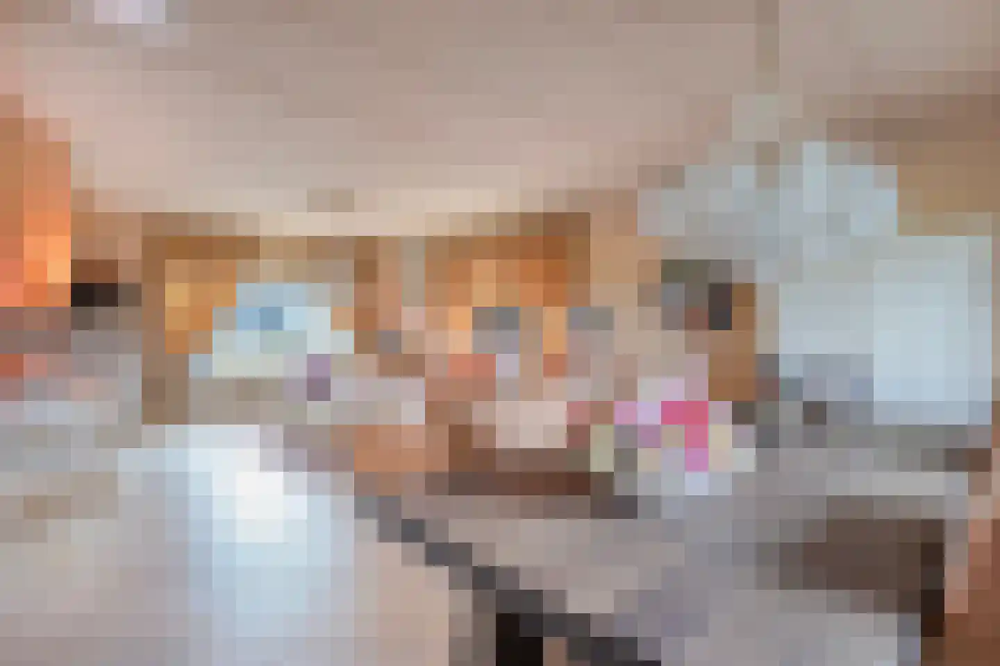 Kreekweg 3 Klaaswaal thumbnail 4