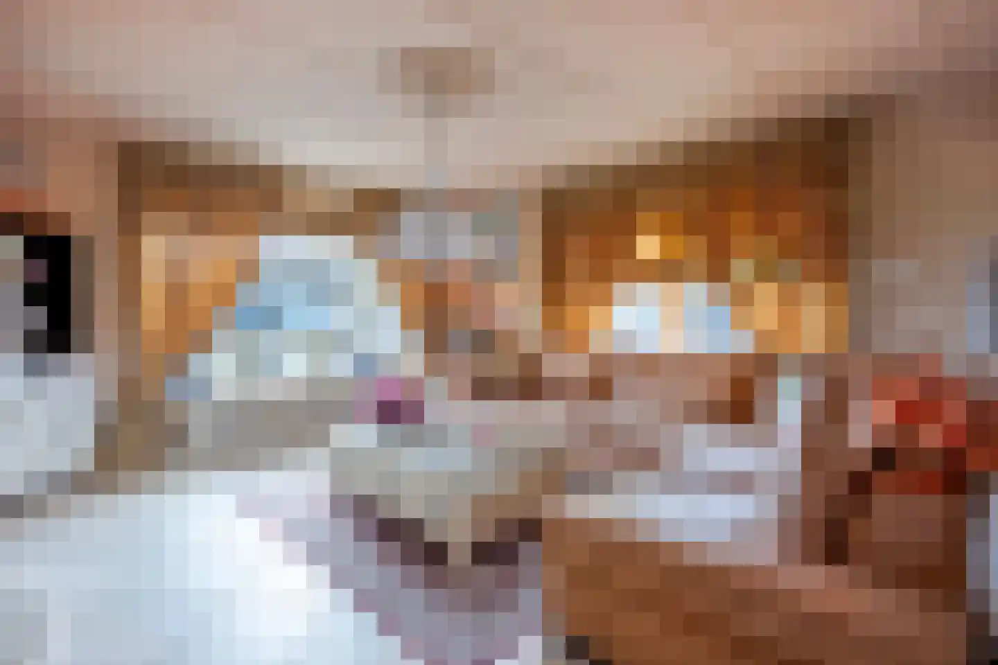 Kreekweg 3 Klaaswaal thumbnail 5