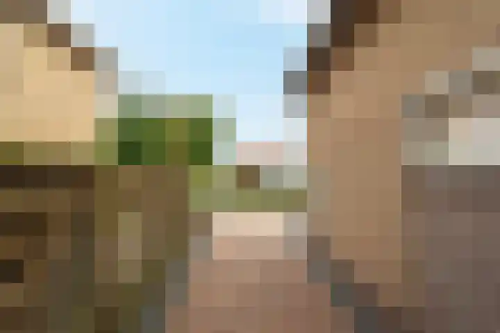 Kreengoedweg 3 Elburg thumbnail 33
