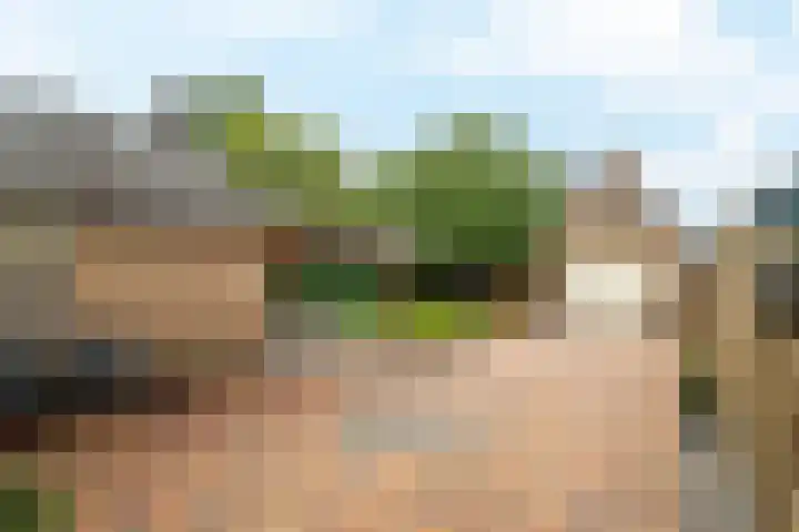 Kreengoedweg 3 Elburg thumbnail 34