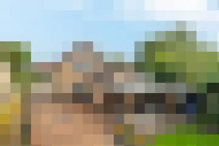 Kreengoedweg 3 Elburg thumbnail 36