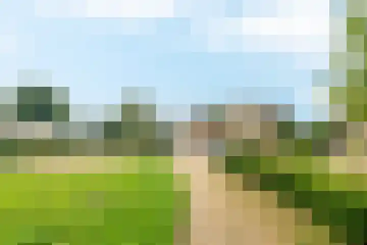 Kreengoedweg 3 Elburg thumbnail 40