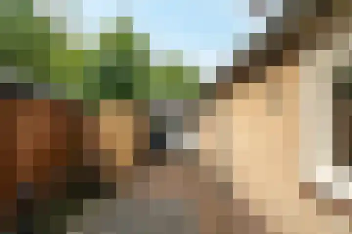 Kreengoedweg 3 Elburg thumbnail 9