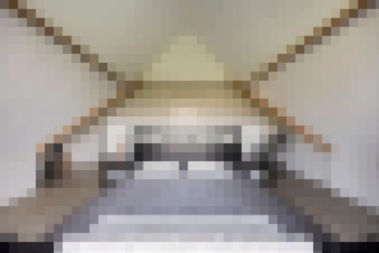 Kreijel 2 Ospel thumbnail 40
