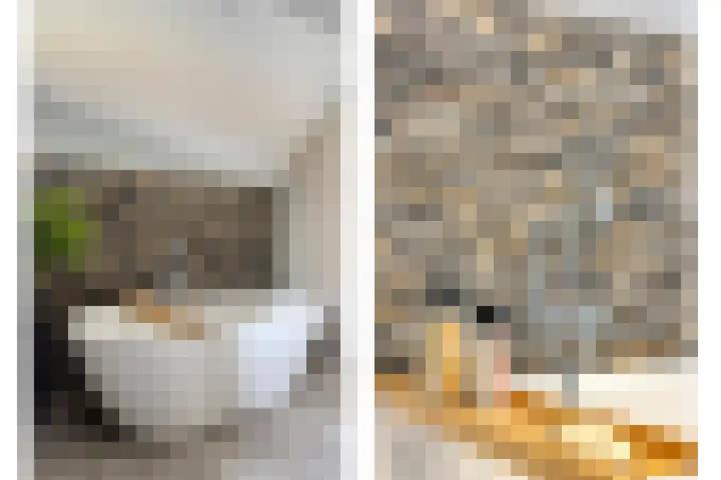 Kreijel 2 Ospel thumbnail 51