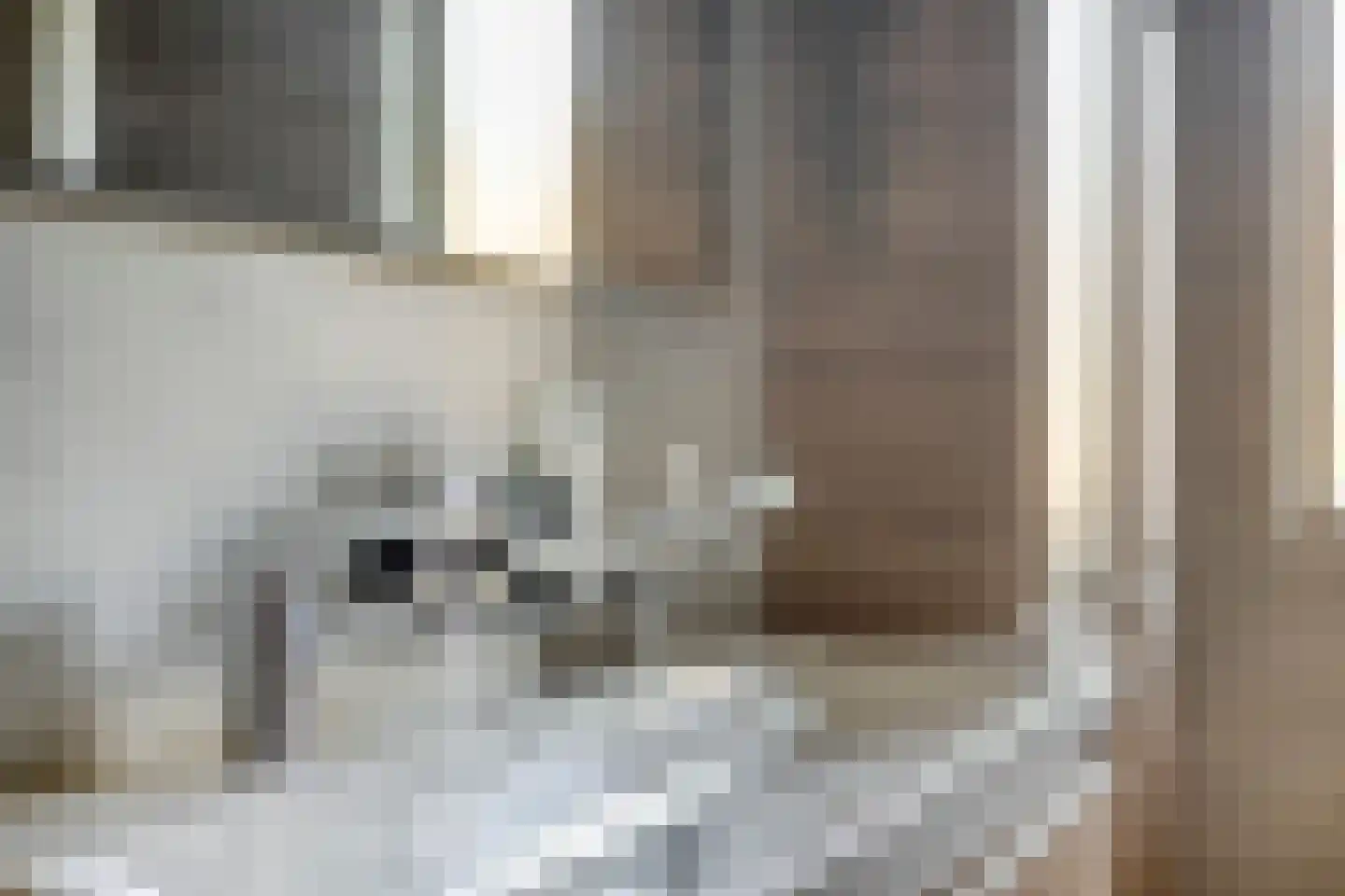 Kreijel 2 Ospel thumbnail 54